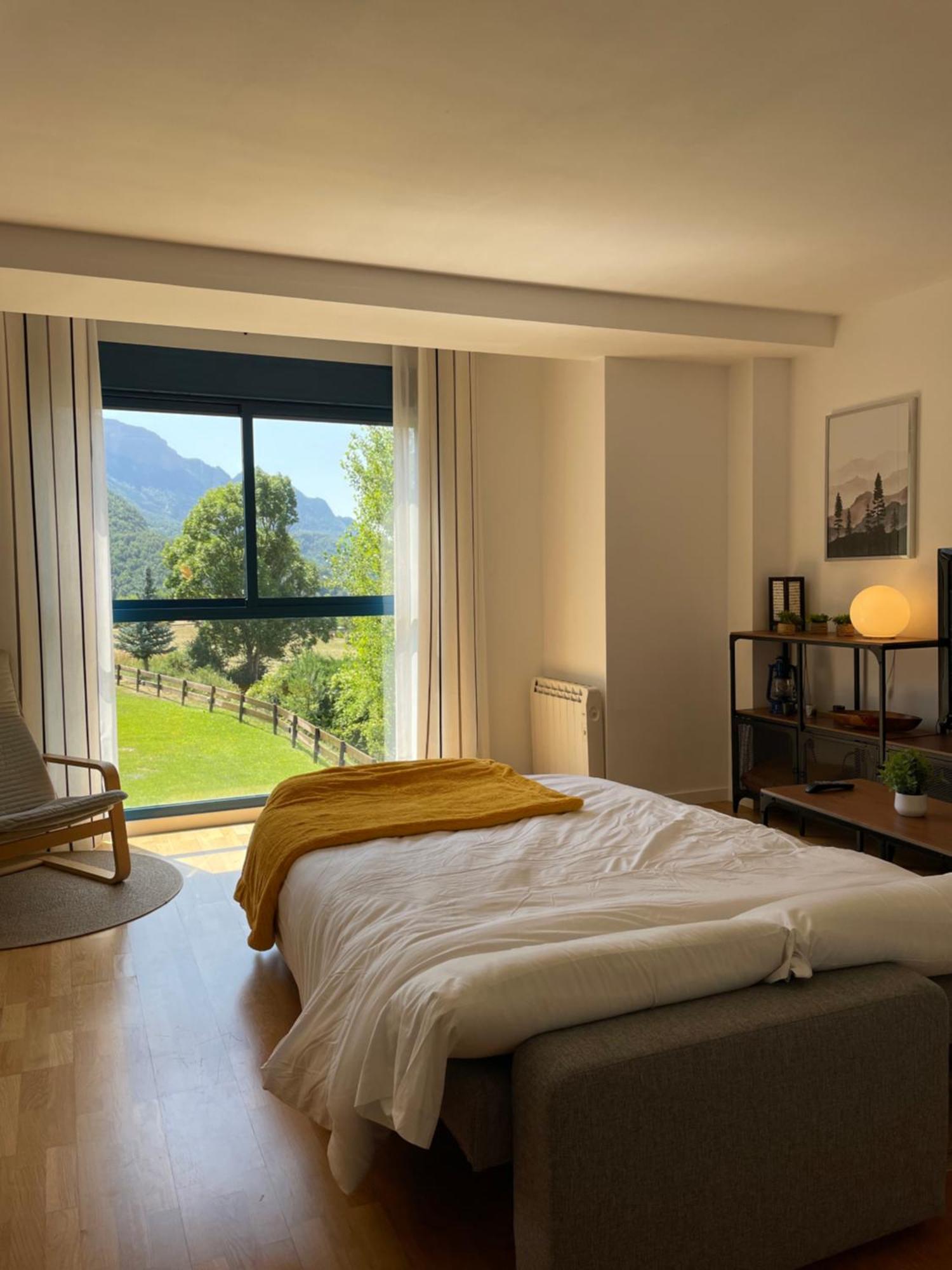 Ventanal De Saras Petfriendly Garaje Trastero Y Chimenea - Arafita Apartamentos Пантикоса Экстерьер фото